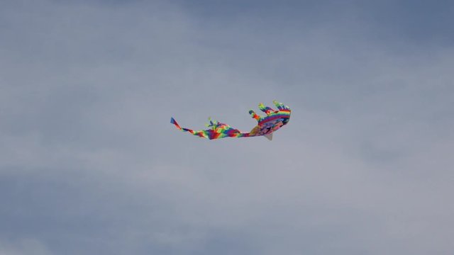 kite in the sky
