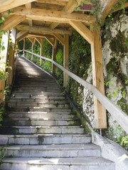 Outdoor old empty stairs and surrounding vegetation