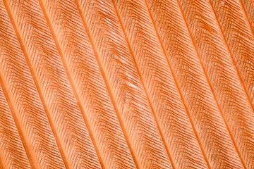 Extreme magnification - Feather detail
