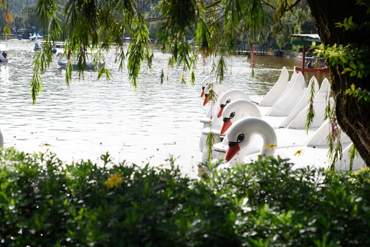 Burnham Park, Baguio City, Philippines