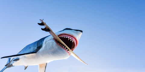 Obraz premium attaque de requin blanc