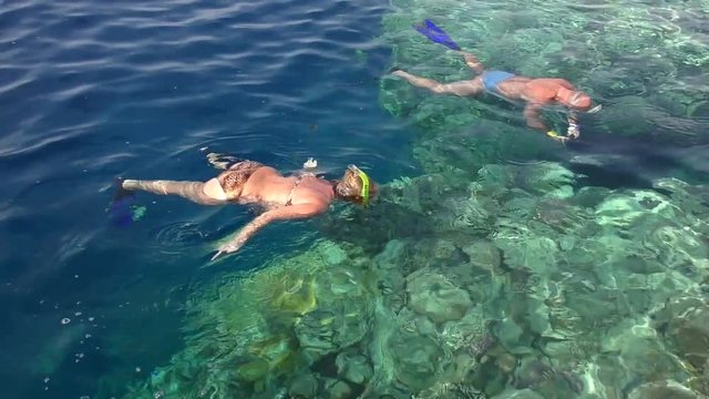 snorkeling near coral reef, man and woman looking under water, Red Sea, Egypt
