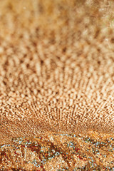 Abstract texture background sparkle cloth