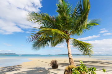 Fototapeta premium Tropical beach