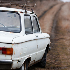 Old car white on a nature background