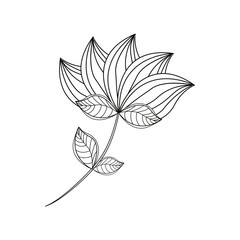 lotus flower decoration line vector illustration eps 10