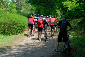 Peloton crowd of bicycle riders racers from back in forest hill section of a race