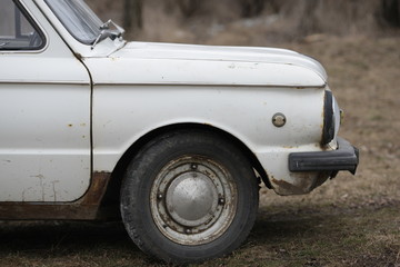 Old car white on a nature background