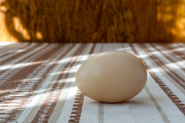 kompozycja z świeżym jajkiem w naturalnym oświetleniu w brązowej tonacji - obrazy, fototapety, plakaty