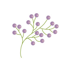 Obraz na płótnie Canvas branch flower wild image vector illustration eps 10