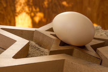 kompozycja z świeżym jajkiem w naturalnym oświetleniu w brązowej tonacji - obrazy, fototapety, plakaty