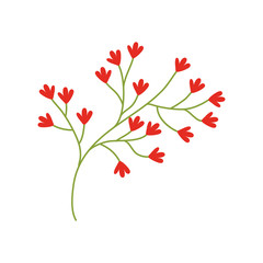 red flower ornate image vector illustration eps 10