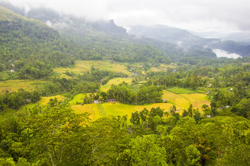 mountain field sri lanka