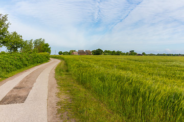 Weg nach Barnstorf bei Wustrow auf dem Darss