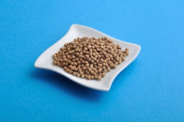 Coriander seeds in a dish