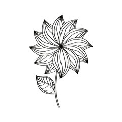 dahlia flower decoration sketch vector illusrtation eps 10