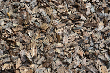 Nice wooden tree Bark of spruce texture background.