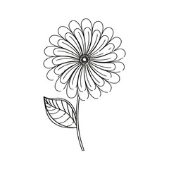 camomile flower decoration sketch vector illustration eps 10
