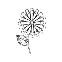 flower spring season sketch vector illustration eps 10