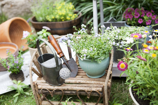 Potted flowers and gardening equipments