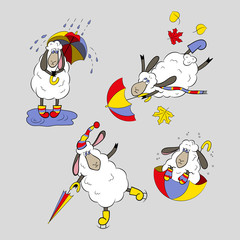 Collection with different  sheep