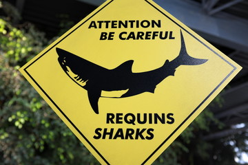 Be careful Sharks. Attention requins.