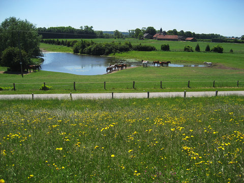 Idyllic landscape near Ooij, Netherlands