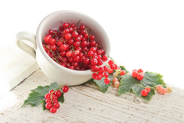 Red currant in a cup on a light background
