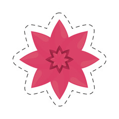 flower petal nature color cut line vector illustration eps 10