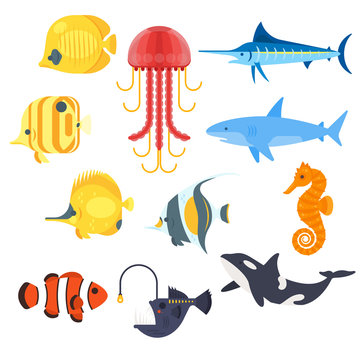 Vector flat style set of exotic fish. Icon for web.