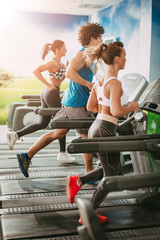 Friends Running On Treadmills At The Gym