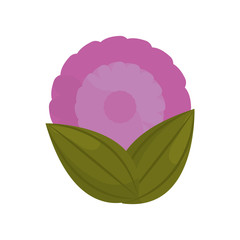 purple flower bud with leaves vector illustration eps 10