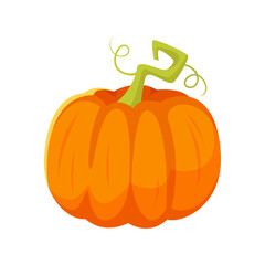 Vector cartoon style illustration of pumpkin. 