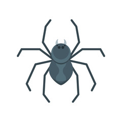 Vector flat style illustration of spider.