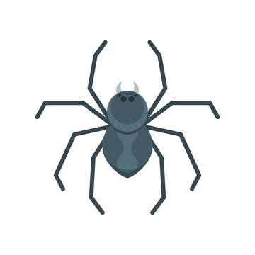 Vector flat style illustration of spider.