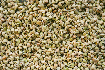 Green germinated buckwheat