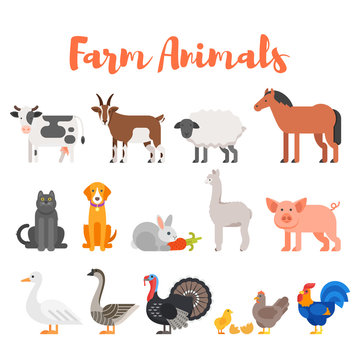 Vector flat style set of farm animals.