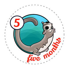 Monthly baby sticker