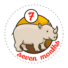 Monthly baby sticker