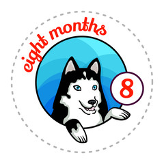 Monthly baby sticker