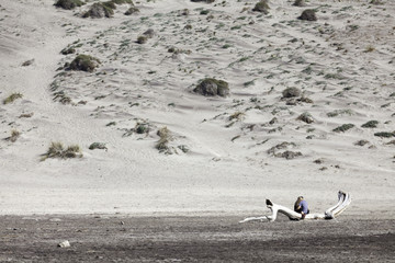 Fototapeta premium Nature reserve of the end of Gata-Nijar, Alería, Andalusia. Spain 