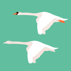 swan vector illustration style Flat set