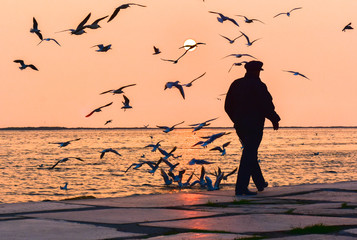 Old man walking alone near the seashore at sunset, Seagulls flying on the sea, silhouette. 