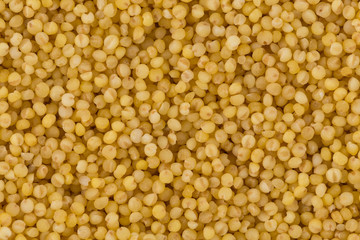 Dry millet closeup