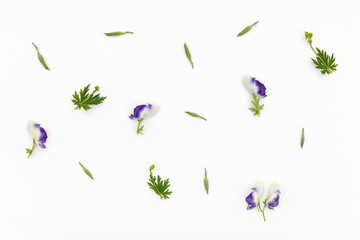 Flowers pattern on white background. Top view, flat lay