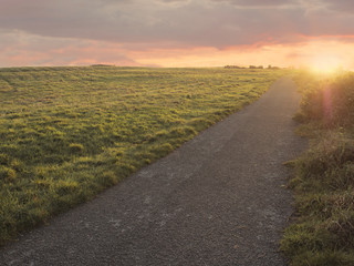Footpath in a park at sunset.