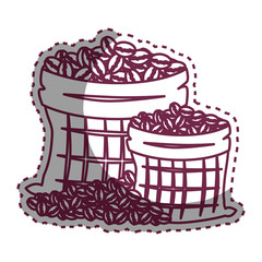 delicious coffee seeds icon vector illustration design