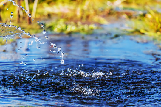 closeup water drops fallin into a pond