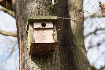 Wood house