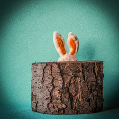 Funny  Easter rabbit